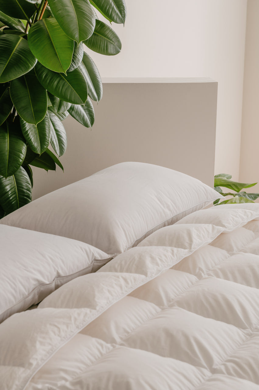 Cuscino in piuma d’oca per dormire: come selezionare il modello perfetto