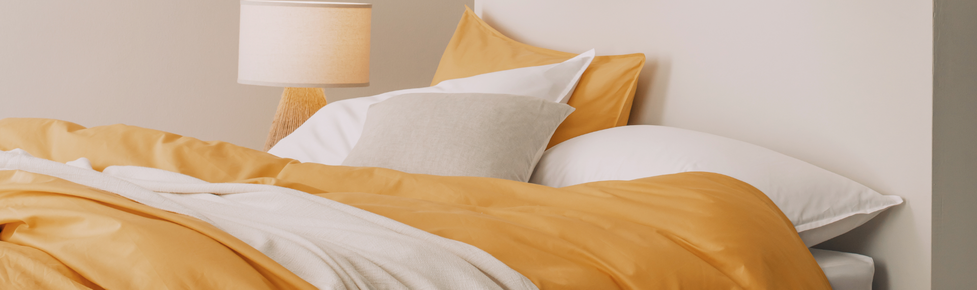 banner-cuscino.png__PID:4d7cd776-e8ec-43f2-8397-09cbdccadab2